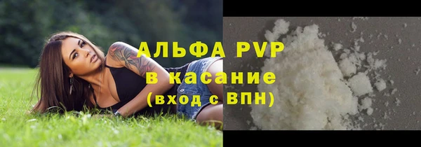 трава Аркадак