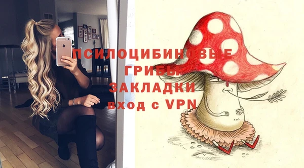 СК Арсеньев