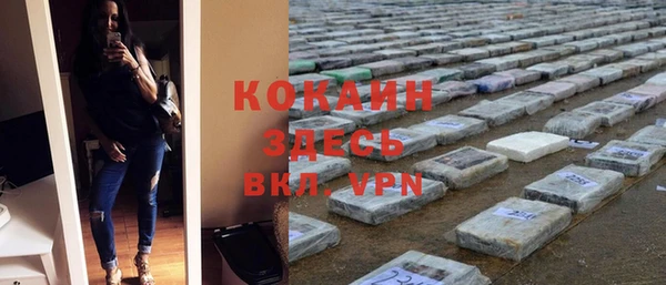 трава Аркадак