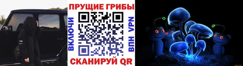 блэк спрут ONION  Лобня  Галлюциногенные грибы Cubensis 